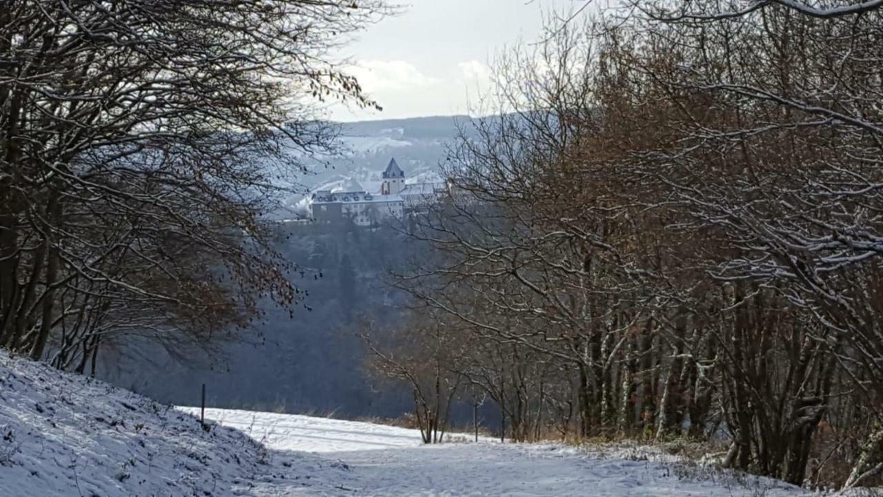 Zur Koenigslay Villa Bullay Exteriör bild