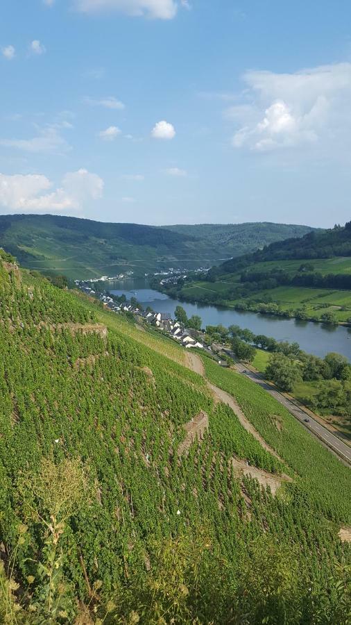 Zur Koenigslay Villa Bullay Exteriör bild