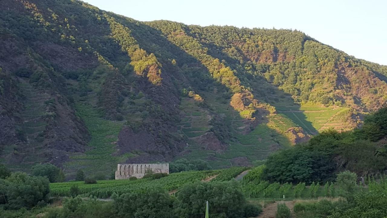 Zur Koenigslay Villa Bullay Exteriör bild